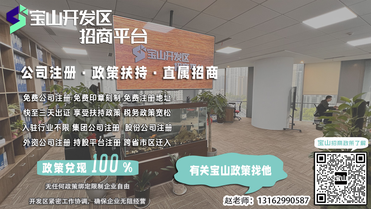 宝山开发区注册合资公司，如何选择具有多样性的公司名称？
